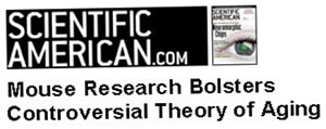 Catalase Enzyme Research Bolsters Free Radical Theory of Aging- Scientific American